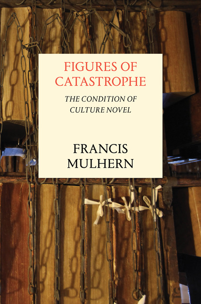 

Figures of Catastrophe