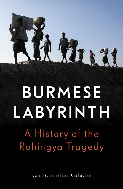 Carlos Sardiña Galache - The Burmese Labyrinth