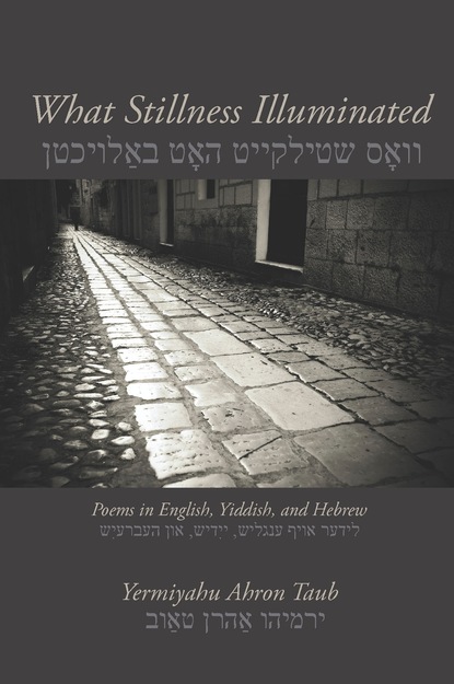 Yermiyahu Ahron Taub - What Stillness Illuminated