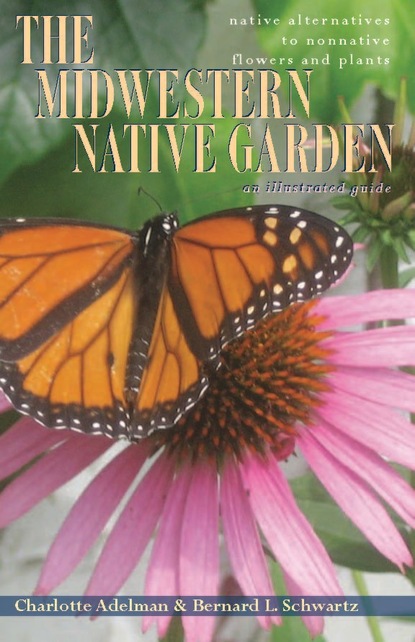 Charlotte Adelman - The Midwestern Native Garden