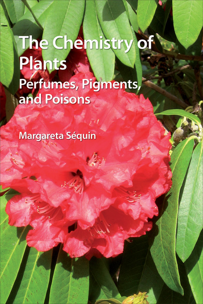 Margareta Sequin - The Chemistry of Plants