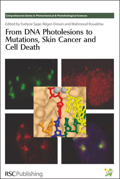 

From DNA Photolesions to Mutations, Skin Cancer and Cell Death