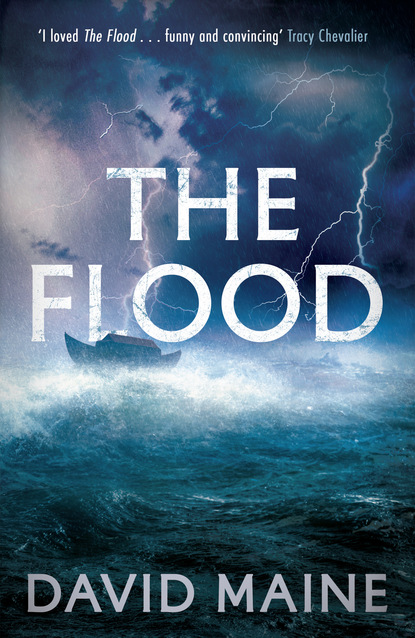 David Maine - The Flood