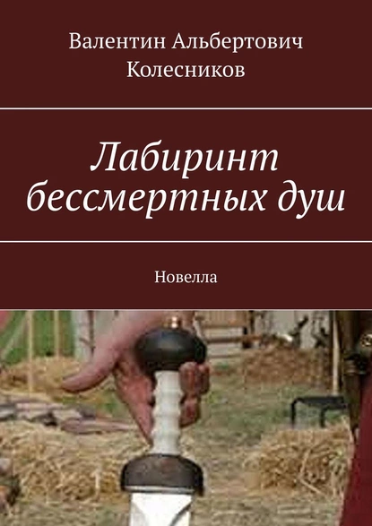 Обложка книги Лабиринт бессмертных душ. Новелла, Валентин Альбертович Колесников