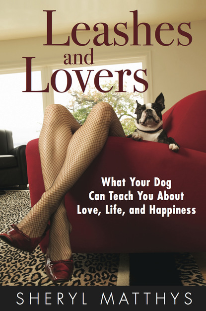 

Leashes and Lovers - What Your Dog Can Teach You About Love, Life, and Happiness