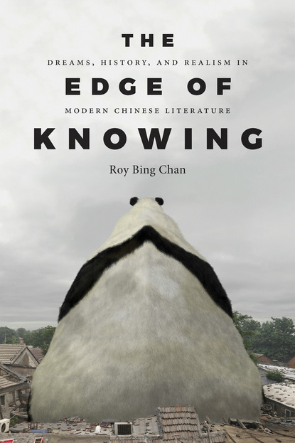 Roy Bing Chan - The Edge of Knowing