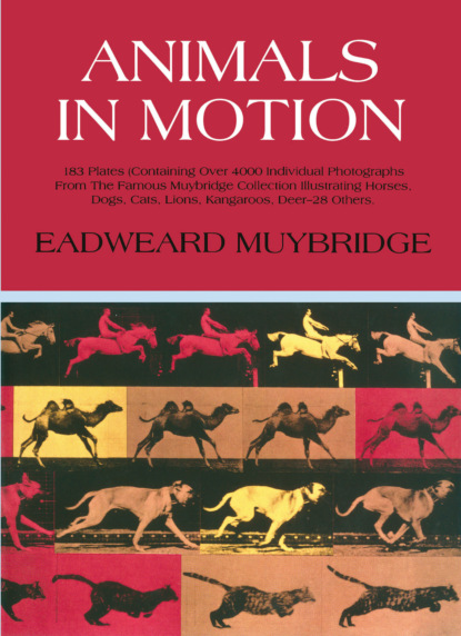 Eadweard Muybridge - Animals in Motion