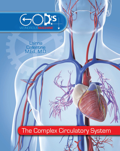 

Complex Circulatory System, The