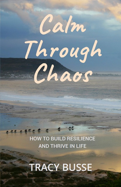 Tracy Busse - Calm Through Chaos