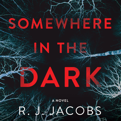 Somewhere in the Dark (Unabridged)