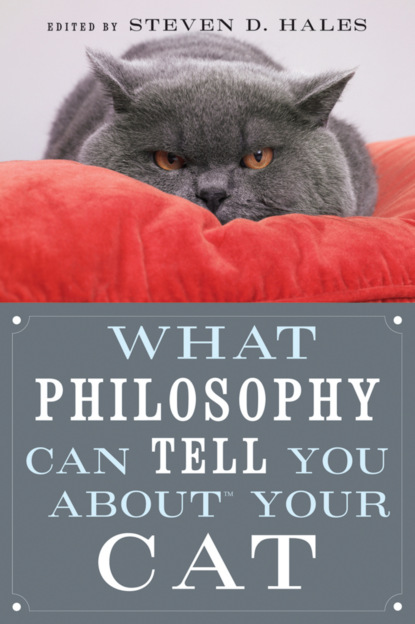 Группа авторов - What Philosophy Can Tell You about Your Cat