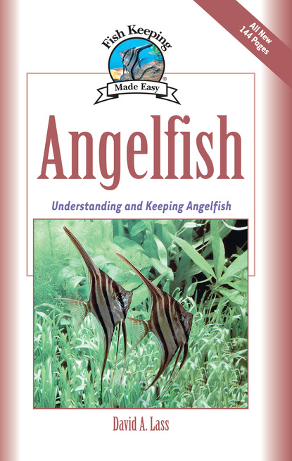 

Angelfish