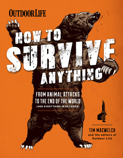 Tim MacWelch — How to Survive Anything