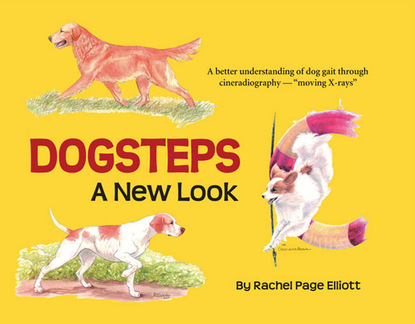 Rachel Page Elliott - Dogsteps