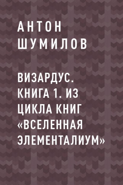 

Визардус. Книга 1. Из цикла книг «Вселенная Элементалиум»