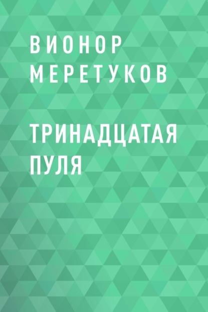 

Тринадцатая пуля