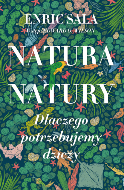 

Natura natury