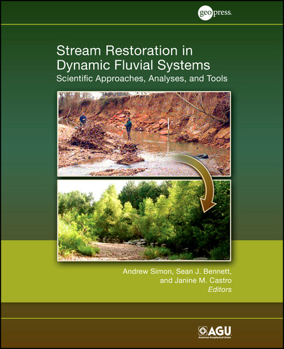 Группа авторов - Stream Restoration in Dynamic Fluvial Systems