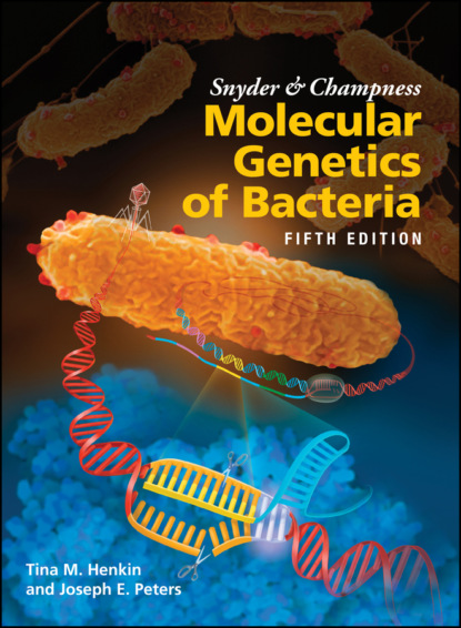 Snyder and Champness Molecular Genetics of Bacteria (Tina M. Henkin). 