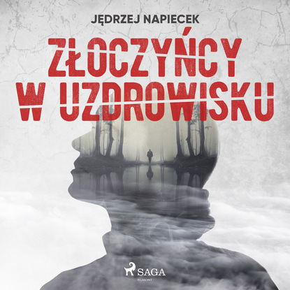 Jędrzej Napiecek — Złoczyńcy w uzdrowisku