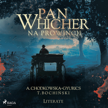 Tomasz Bochiński — Pan Whicher na prowincji