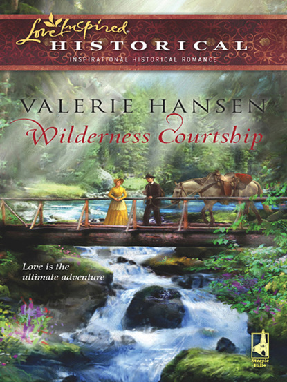 Valerie  Hansen - Wilderness Courtship