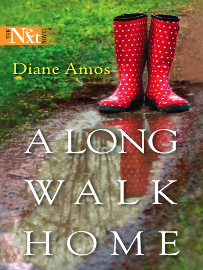 Diane Amos - A Long Walk Home