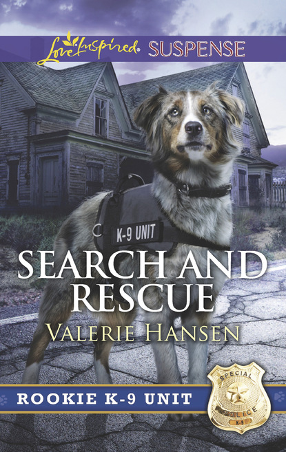 Valerie  Hansen - Search And Rescue