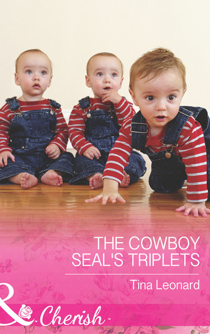 The Cowboy Seal s Triplets