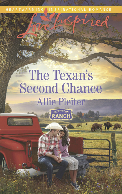 Allie Pleiter - The Texan's Second Chance