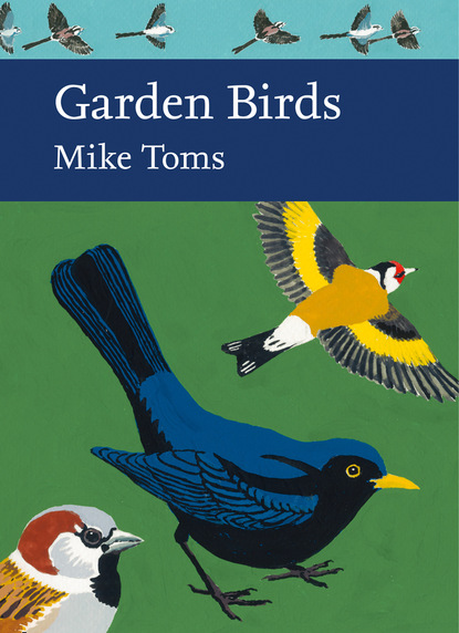 Mike Toms - Garden Birds
