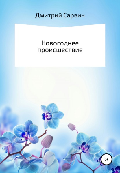

Новогоднее происшествие