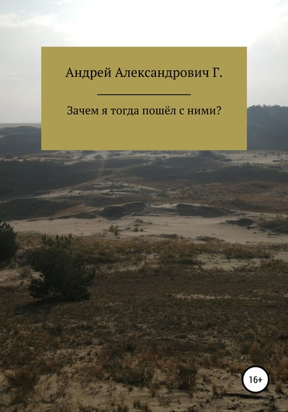 Зачем я тогда пошёл с ними - Андрей Александрович Гринин