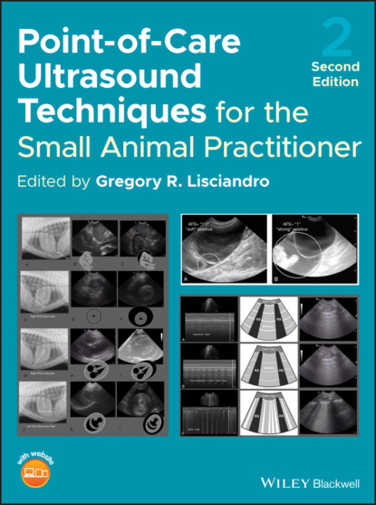 Группа авторов - Point-of-Care Ultrasound Techniques for the Small Animal Practitioner
