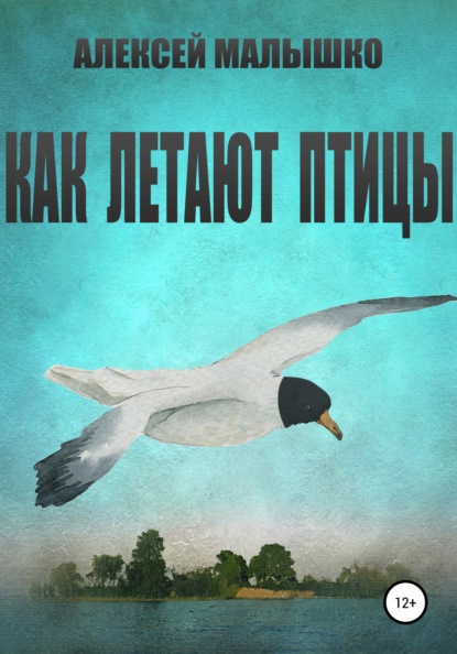 

Как летают птицы