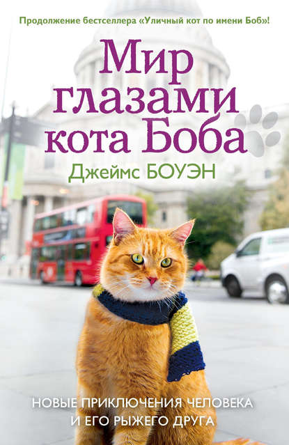 Мир глазами кота Боба. Новые приключения человека и его рыжего друга Джеймс Боуэн