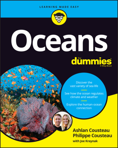 Joseph Kraynak - Oceans For Dummies