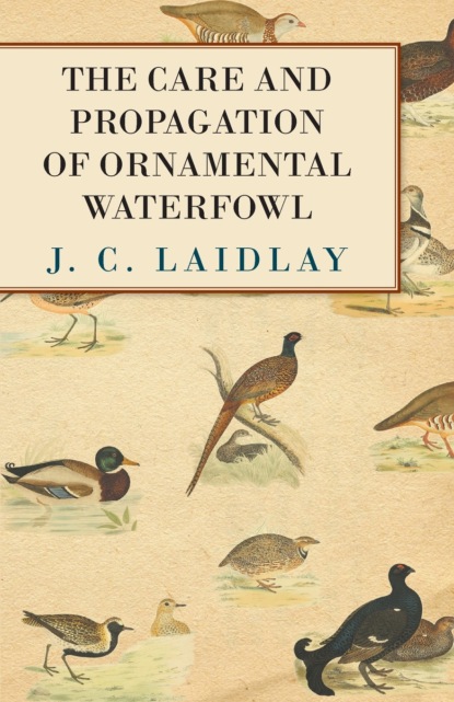 J. C. Laidlay - The Care and Propagation of Ornamental Waterfowl