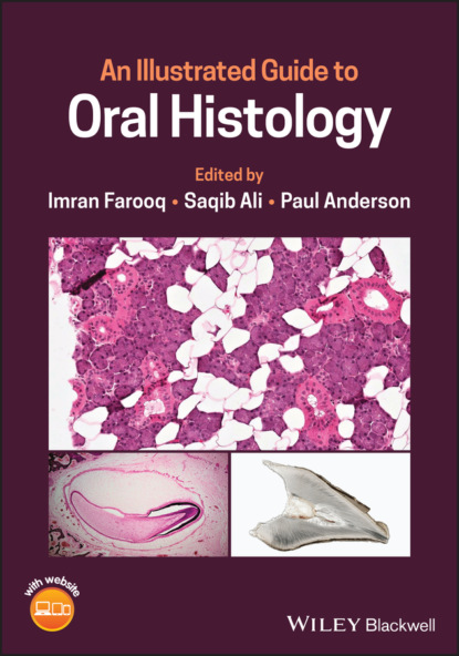 An Illustrated Guide to Oral Histology - Группа авторов