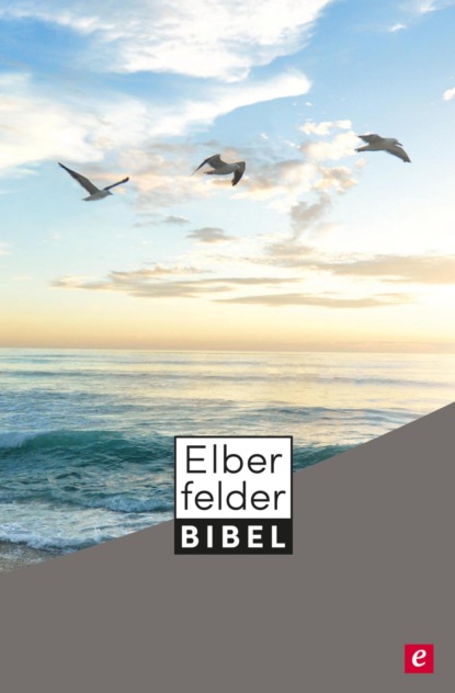 SCM R.Brockhaus - Elberfelder Bibel - Altes und Neues Testament