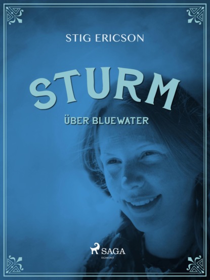 Stig Ericson - Sturm über Bluewater