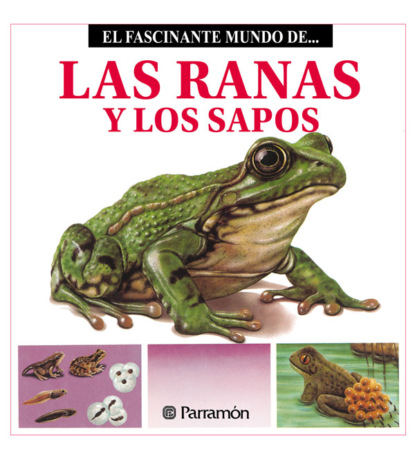 Maira Àngels Julivert - Las Ranas y los Sapos