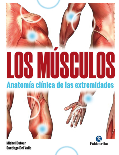 Michel Dufour - Los músculos