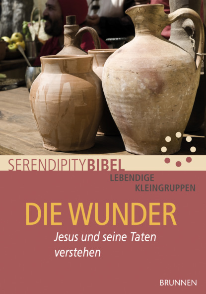 Serendipity bibel - Die Wunder