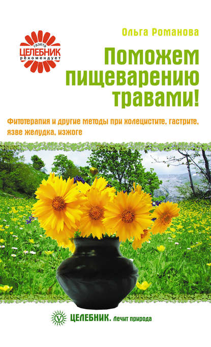 

Поможем пищеварению травами! Фитотерапия и другие методы при холецистите, гастрите, язве желудка, изжоге