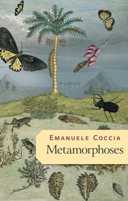 Emanuele Coccia - Metamorphoses
