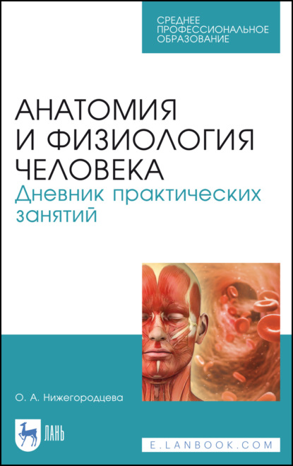 Анатомия и физиология человека. Дневник практических занятий (О. А. Нижегородцева). 