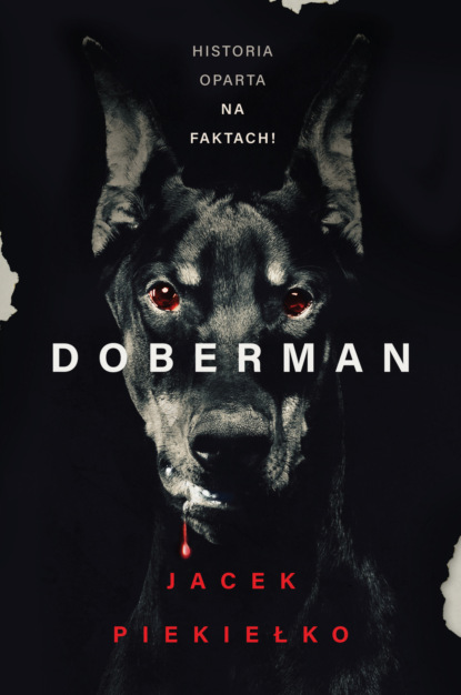 

Doberman