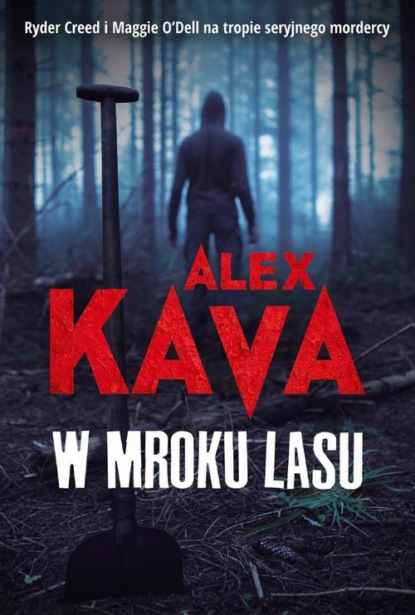 

W mroku lasu