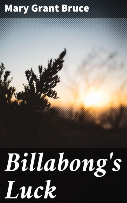 

Billabong's Luck